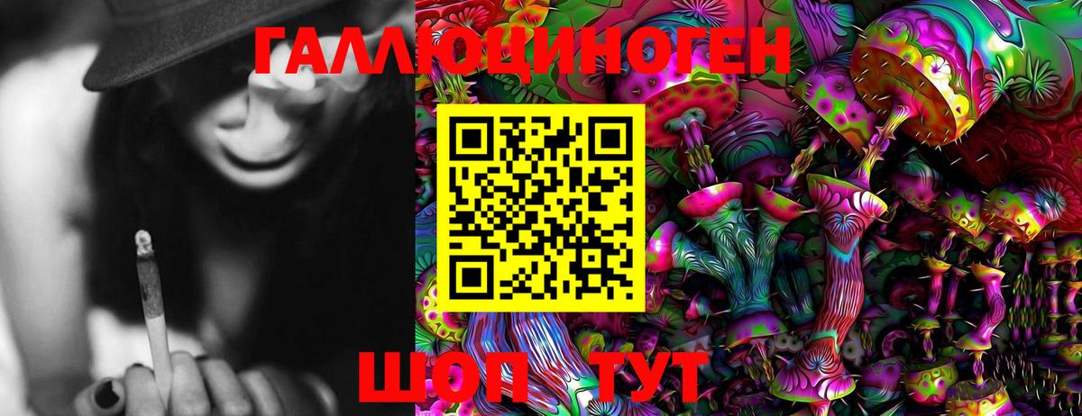 Псилоцибиновые грибы GOLDEN TEACHER Кингисепп