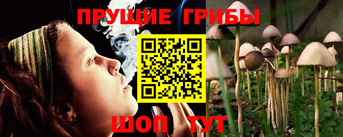 Кингисепп  Галлюциногенные грибы мицелий  Псилоцибиновые грибы мицелий  Вход с VPN 